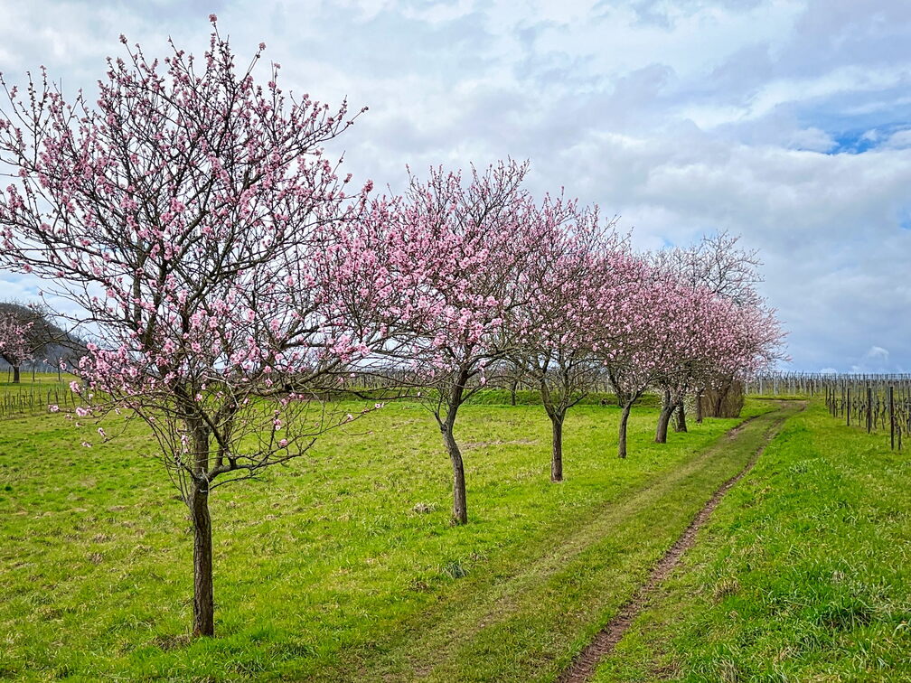 23-03-13 10-56-29 4832